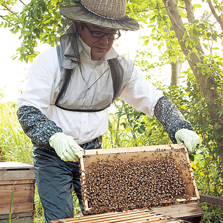 Beehive（ビーハイブ）
